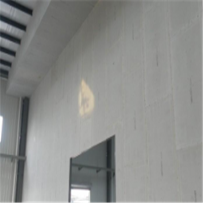 文昌宁波ALC板|EPS加气板隔墙与混凝土整浇联接的实验研讨